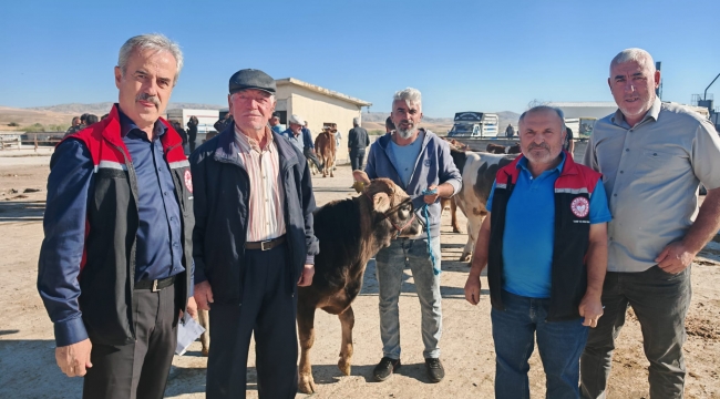 HAYVAN PAZARI AÇILDI…