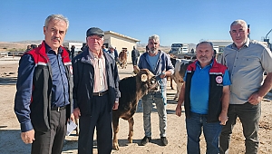 HAYVAN PAZARI AÇILDI…