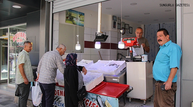 SUNGURLU’DA HAMSİ 200 LİRADAN SATIŞA ÇIKTI…