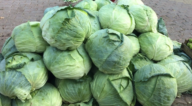 DEMİRŞEYH'İN MEŞHUR LAHANASI ANKARA’DA SATIŞA ÇIKTI…