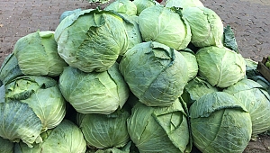 DEMİRŞEYH'İN MEŞHUR LAHANASI ANKARA’DA SATIŞA ÇIKTI…