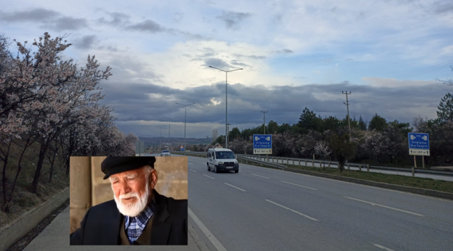  'ÇAKIR DEDE’NİN BADEM AĞAÇLARI ÇİÇEK AÇTI...