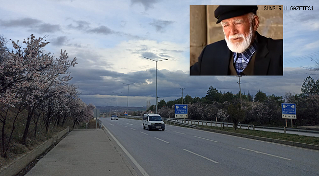  'ÇAKIR DEDE'NİN BADEM AĞAÇLARI ÇİÇEK AÇTI...