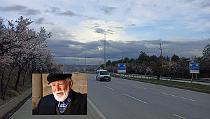  'ÇAKIR DEDE’NİN BADEM AĞAÇLARI ÇİÇEK AÇTI...