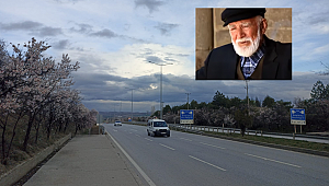  'ÇAKIR DEDE'NİN BADEM AĞAÇLARI ÇİÇEK AÇTI...