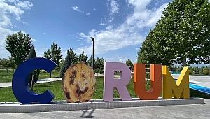 ÇORUM, İLÇELERİYLE BİRLİKTE GELİŞİRSE BÜYÜYECEK