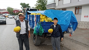10 DİLİM KAVUN 50 LİRADAN SATIŞA ÇIKTI 